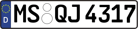MS-QJ4317