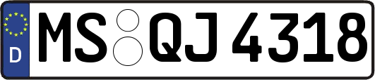 MS-QJ4318