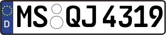 MS-QJ4319