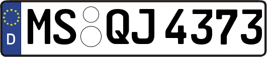 MS-QJ4373