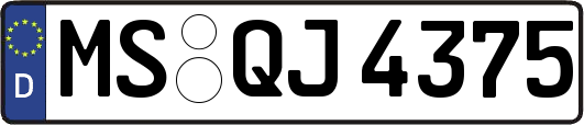 MS-QJ4375