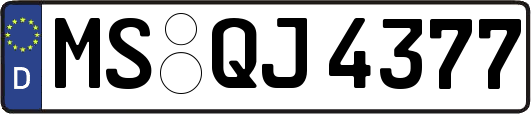 MS-QJ4377