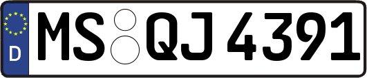 MS-QJ4391