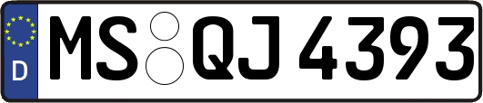 MS-QJ4393