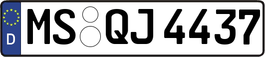 MS-QJ4437
