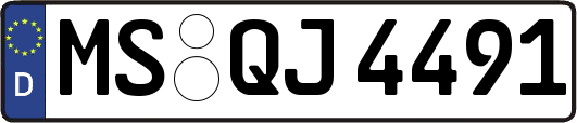 MS-QJ4491