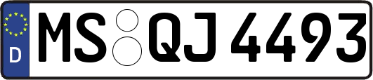 MS-QJ4493