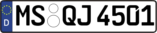 MS-QJ4501