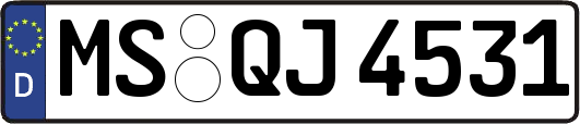 MS-QJ4531