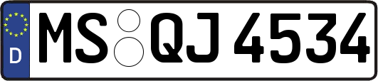 MS-QJ4534