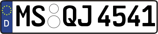 MS-QJ4541