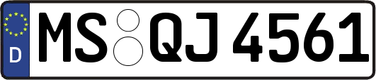 MS-QJ4561