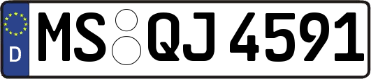 MS-QJ4591