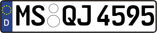 MS-QJ4595
