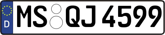 MS-QJ4599