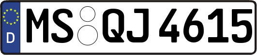 MS-QJ4615