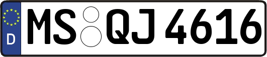 MS-QJ4616