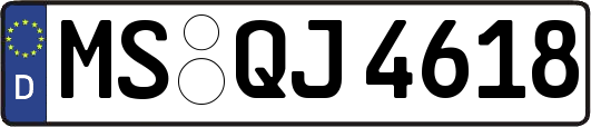 MS-QJ4618
