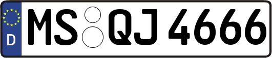 MS-QJ4666