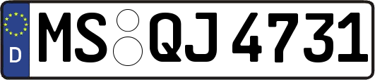 MS-QJ4731