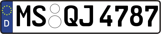MS-QJ4787