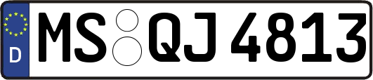 MS-QJ4813