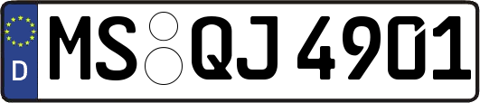 MS-QJ4901