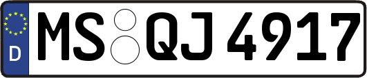 MS-QJ4917