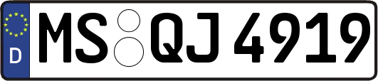 MS-QJ4919