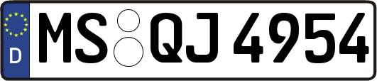 MS-QJ4954