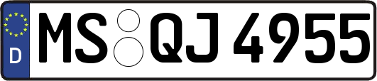 MS-QJ4955