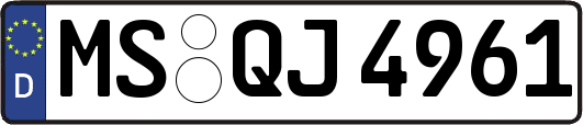 MS-QJ4961