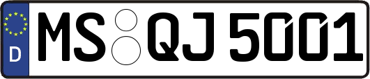 MS-QJ5001