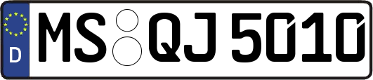 MS-QJ5010