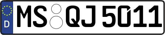 MS-QJ5011