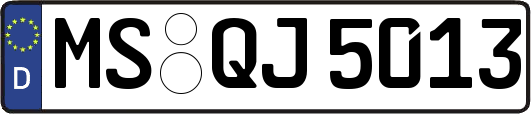 MS-QJ5013