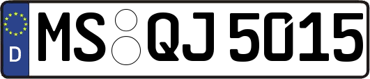 MS-QJ5015