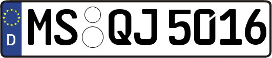 MS-QJ5016