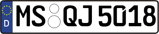 MS-QJ5018