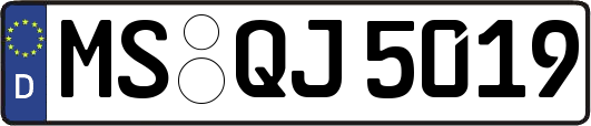 MS-QJ5019