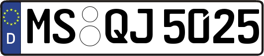 MS-QJ5025