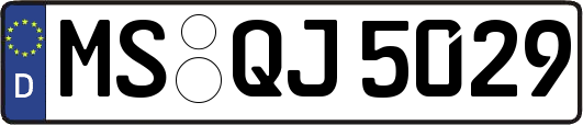 MS-QJ5029