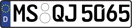MS-QJ5065