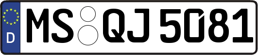 MS-QJ5081