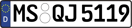 MS-QJ5119