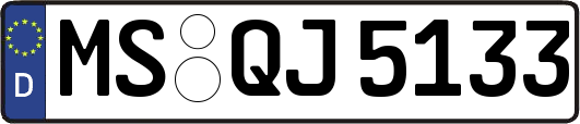 MS-QJ5133
