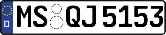 MS-QJ5153