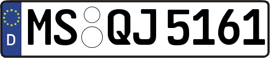 MS-QJ5161