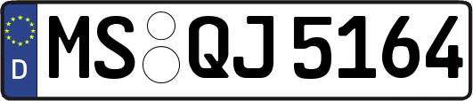 MS-QJ5164