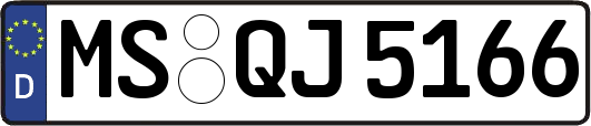 MS-QJ5166